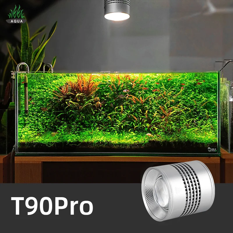 Aquarium Plant Not Growing - สัปดาห์ Aqua T Series T90 Pro