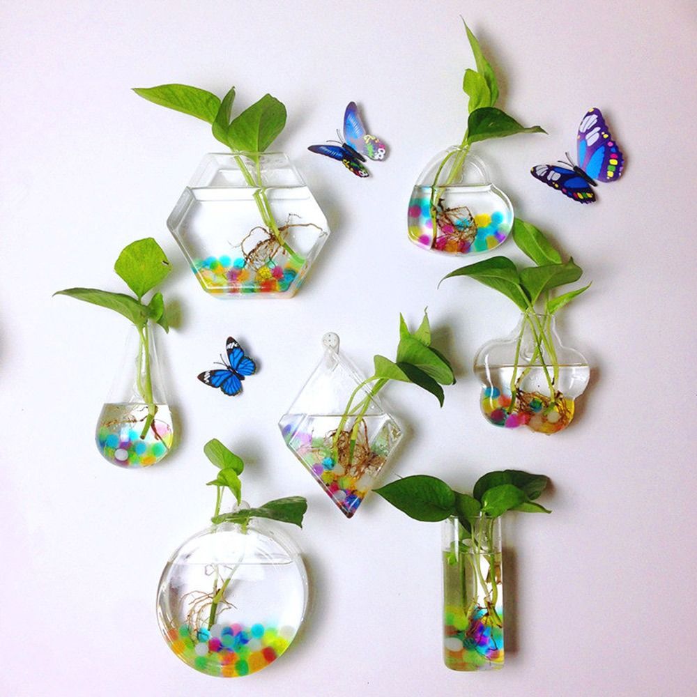 Aquarium Planted Wall - แจกันแขวนผนังทรงกรวย ตู้ปลาใส กระถางต้นไม้ติดผนัง ที่ปลูกต้นไม้แบบไฮโดรโปนิกส์ ภาชนะสำหรับปลูกพืชในน้ำ