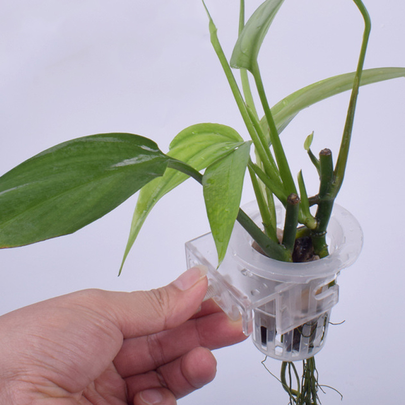 Aquarium Planted Wall - ถ้วยยึดผนังสำหรับตู้ปลาตู้ปลาแบบปรับที่ตั้งต้นไม้ได้กระถางดอกไม้แบบถ้วยอุปกรณ์เสริมสำหรับตู้ปลา