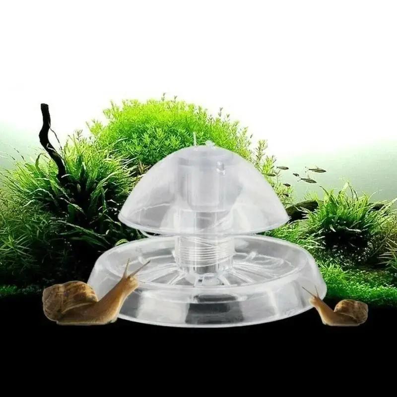 Aquarium Planted Fish - กับดักหอยทากพลาสติกใสขนาด 6/8 ซม. รุ่นใหม่ ปี 2026