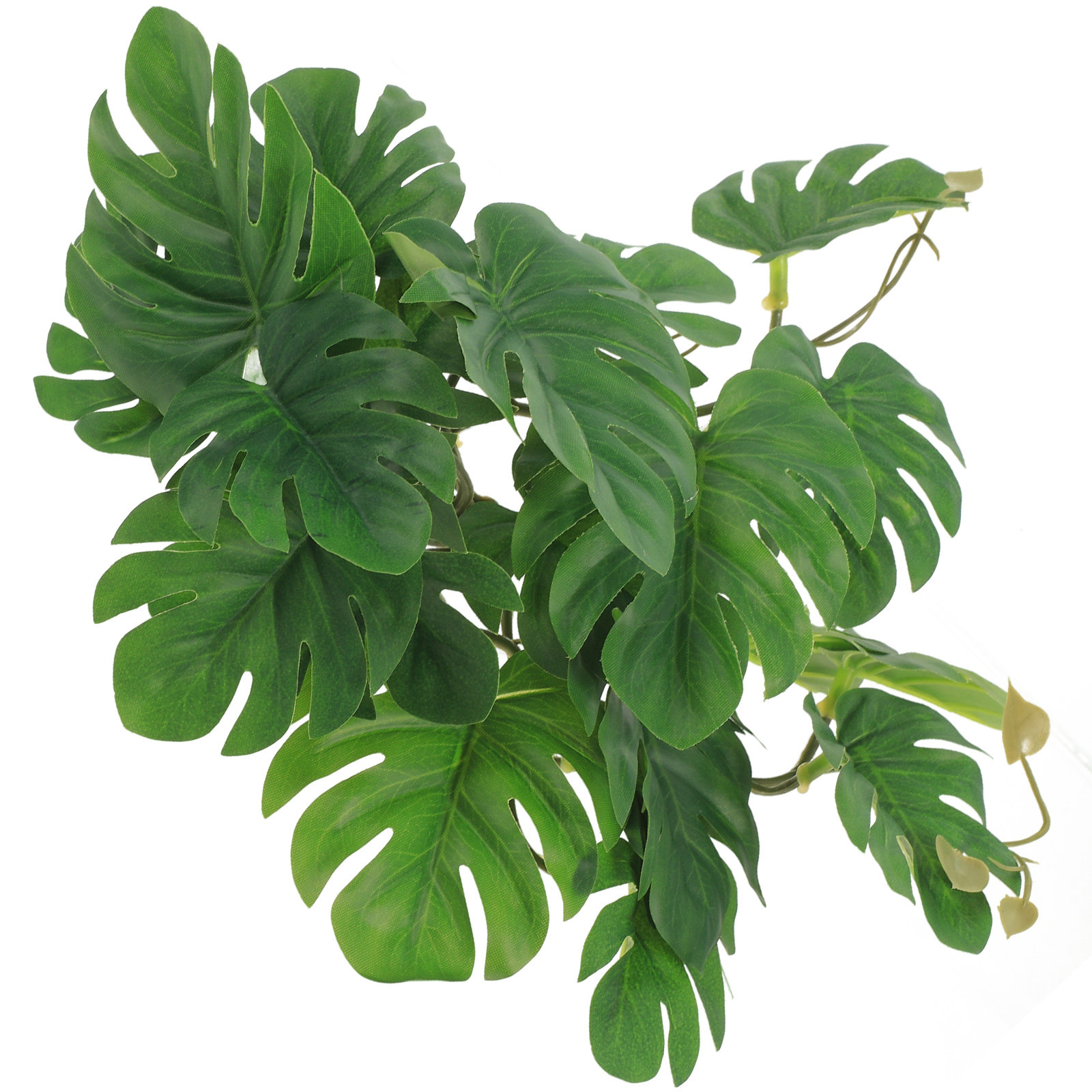 Non Planted Aquarium Fish - พืชปลอดสารพิษสำหรับตกแต่งตู้เลี้ยงสัตว์เลื้อยคลาน ตู้ปลา ตู้เลี้ยงกิ้งก่า ของตกแต่งตู้ปลา ต้นไม้ประดิษฐ์เสมือนจริง