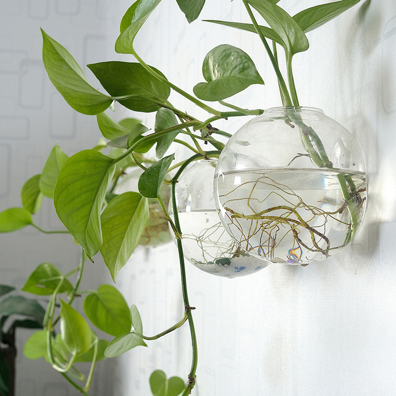Aquarium Planted Wall - ตู้ปลาอะคริลิคแขวนผนัง แจกันอะคริลิคใส ตกแต่งบ้าน ตู้ปลาน้ำจืด ตู้ปลาน้ำเค็ม สำหรับสัตว์เลี้ยง