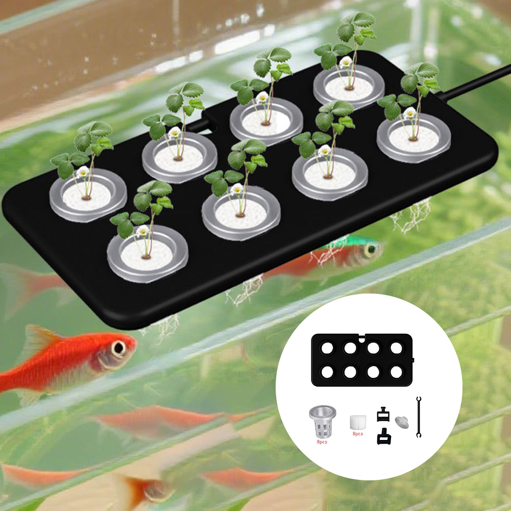 Aquarium Planted Wall - กระเช้าปลูกต้นไม้ลอยน้ำแบบติดผนัง ขนาด 22.8*11.7 ซม. พร้อมจุกดูด สำหรับตกแต่งตู้ปลา
