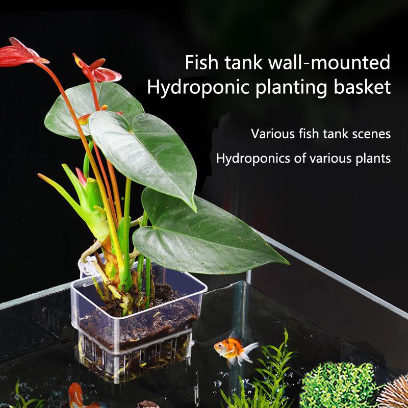 Aquarium Planted Setup - ถ้วยปลูกพืชไฮโดรโปนิกส์สำหรับตู้ปลา 2 5 10 ชิ้น สำหรับการเพาะเลี้ยงพืชน้ำ
