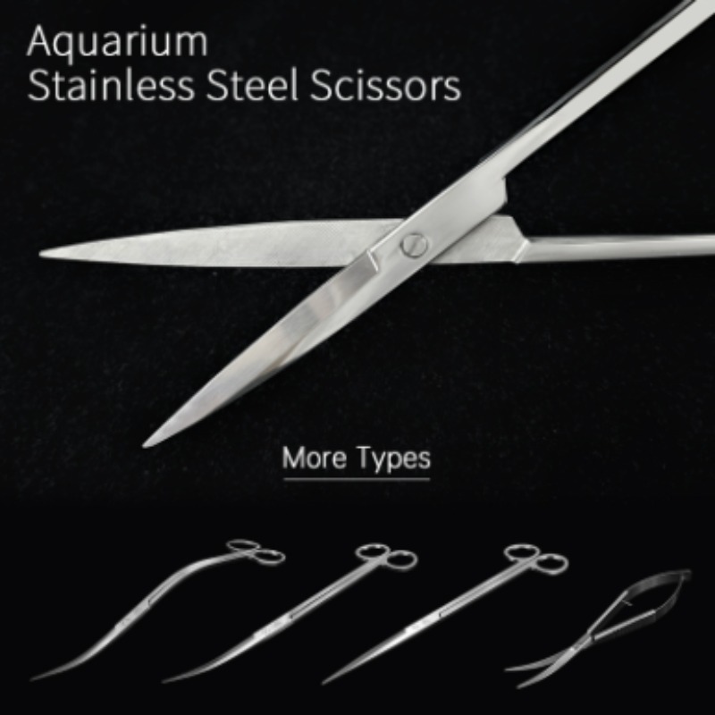 Planted Aquarium Products - กรรไกรตัดแต่งพืชน้ำสแตนเลส Week Aqua รุ่น Sharp Pruning