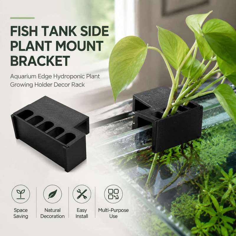 Aquarium Plant Design - ที่ยึดต้นไม้ข้างตู้ปลา ชั้นวางตกแต่งสำหรับปลูกพืชแบบไฮโดรโปนิกส์
