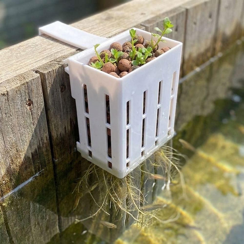 Aquarium Planted Wall - กระถางปลูกต้นไม้แบบแขวนผนังสำหรับปลูกพืชน้ำ กระถางปลูกแบบไฮโดรโปนิกส์ กระถางแขวนแบบรดน้ำเองได้ ทำจากพลาสติก