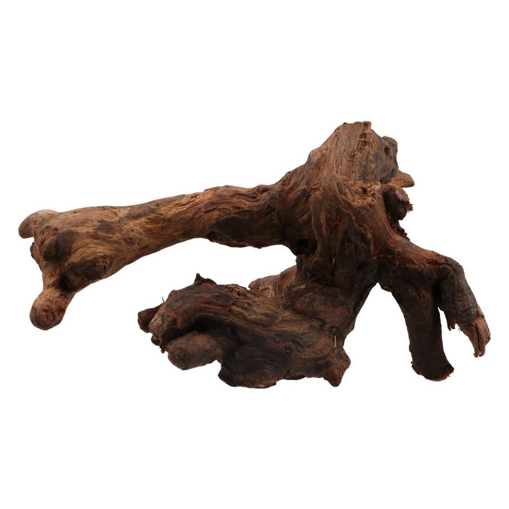 Aquarium Plant Design - ไม้ปะการังรูปทรงแปลกตา ไม้ธรรมชาติ ท่อนไม้ลอยน้ำ รากต้นไม้ สำหรับตกแต่งตู้ปลา
