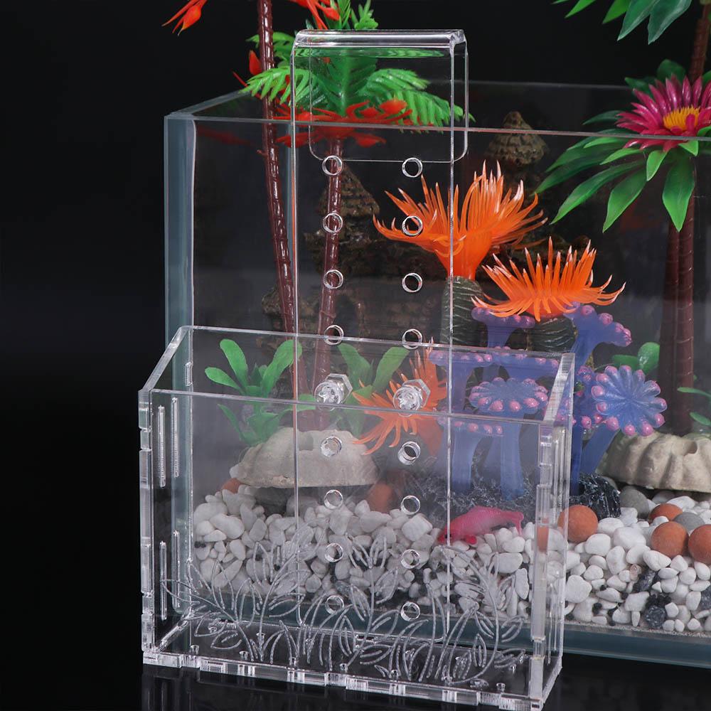 Aquarium Planted Wall - ถ้วยปลูกต้นไม้ในตู้ปลาแบบแขวนผนัง อะคริลิกใส พร้อมจุกดูดสุญญากาศ ปรับระดับได้