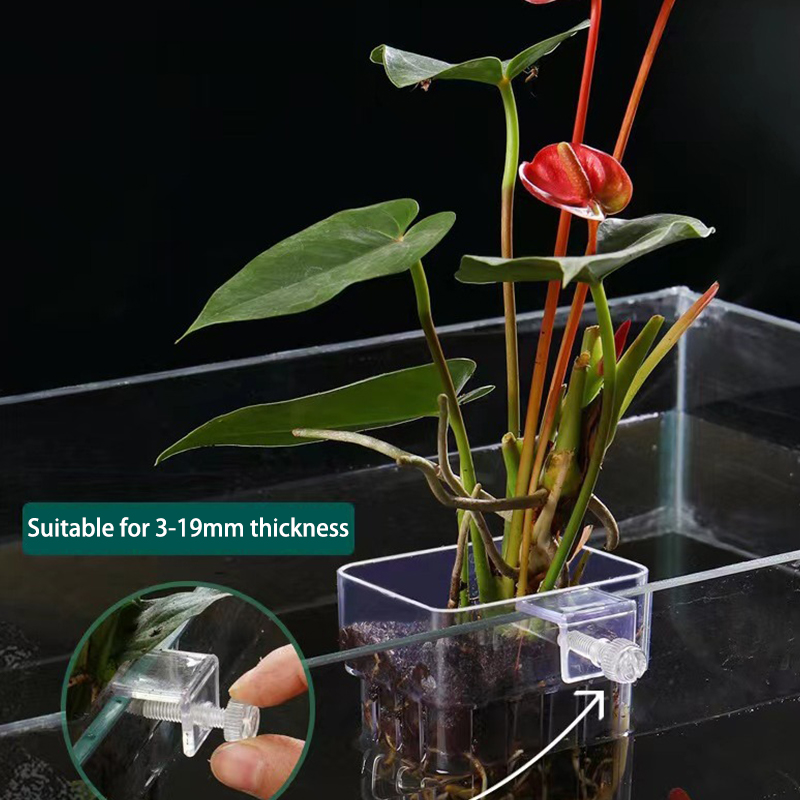 Aquarium Planted Fish - ถ้วยปลูกหญ้าน้ำพิพิธภัณฑ์สัตว์น้ำอเนกประสงค์สำหรับการเพาะพันธุ์กล่องแยกตู้ปลาถังปลาการปลูกพืชไฮโดรโปนิกส์
