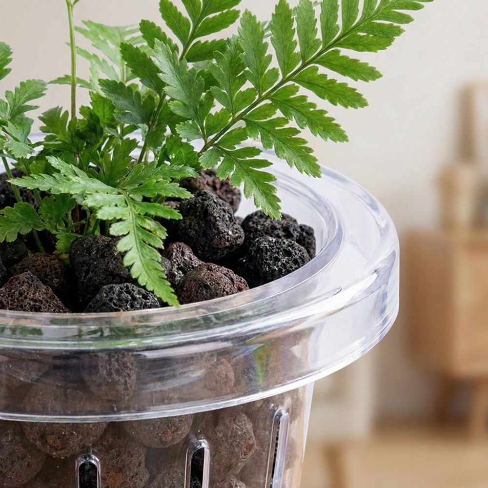 Aquarium Planted Wall - กระถางปลูกต้นไม้ในตู้ปลาแบบใส ทรงกลม ติดผนัง ตะกร้าปลูกพืชน้ำแบบแขวน ที่แขวนต้นไม้น้ำพลาสติก สำหรับใช้ในตู้ปลา
