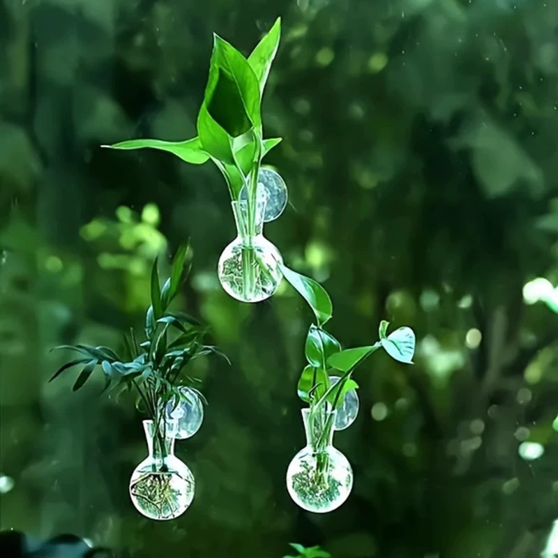 Aquarium Planted Wall - แจกันติดผนังรูปครึ่งวงกลมสำหรับปลูกต้นไม้ กระถางดอกไม้ ตู้ปลาไฮโดรโปนิกส์ ตกแต่งบ้าน