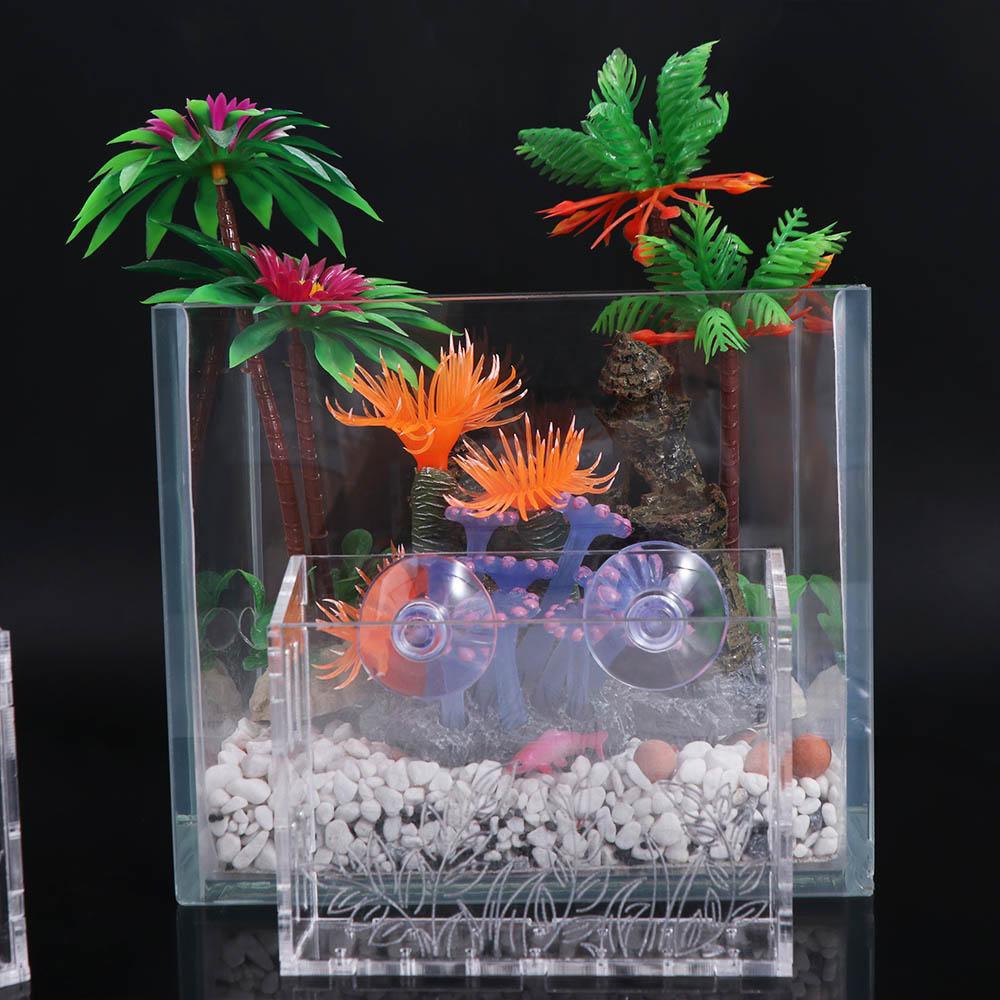 ถ้วยปลูกต้นไม้ในตู้ปลาแบบแขวนผ - Aquarium Planted Wall บทวิจารณ์และราคา