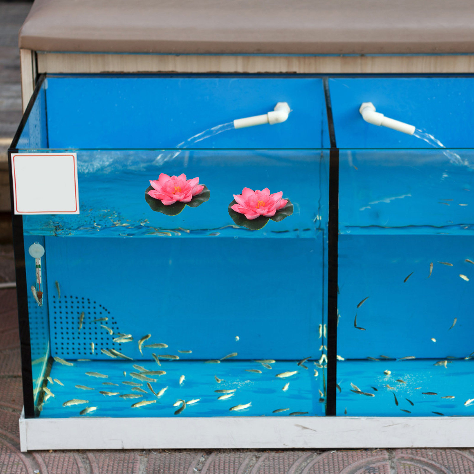 ดอกบัวลอยน้ำเทียม 12 ชิ้น สำหร - Aquarium Planted บทวิจารณ์และราคา