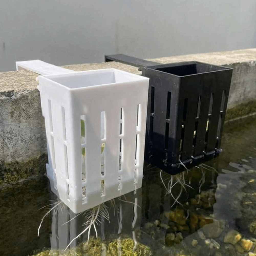กระถางปลูกต้นไม้ติดผนังสำหรับป - Aquarium Planted Wall บทวิจารณ์และราคา