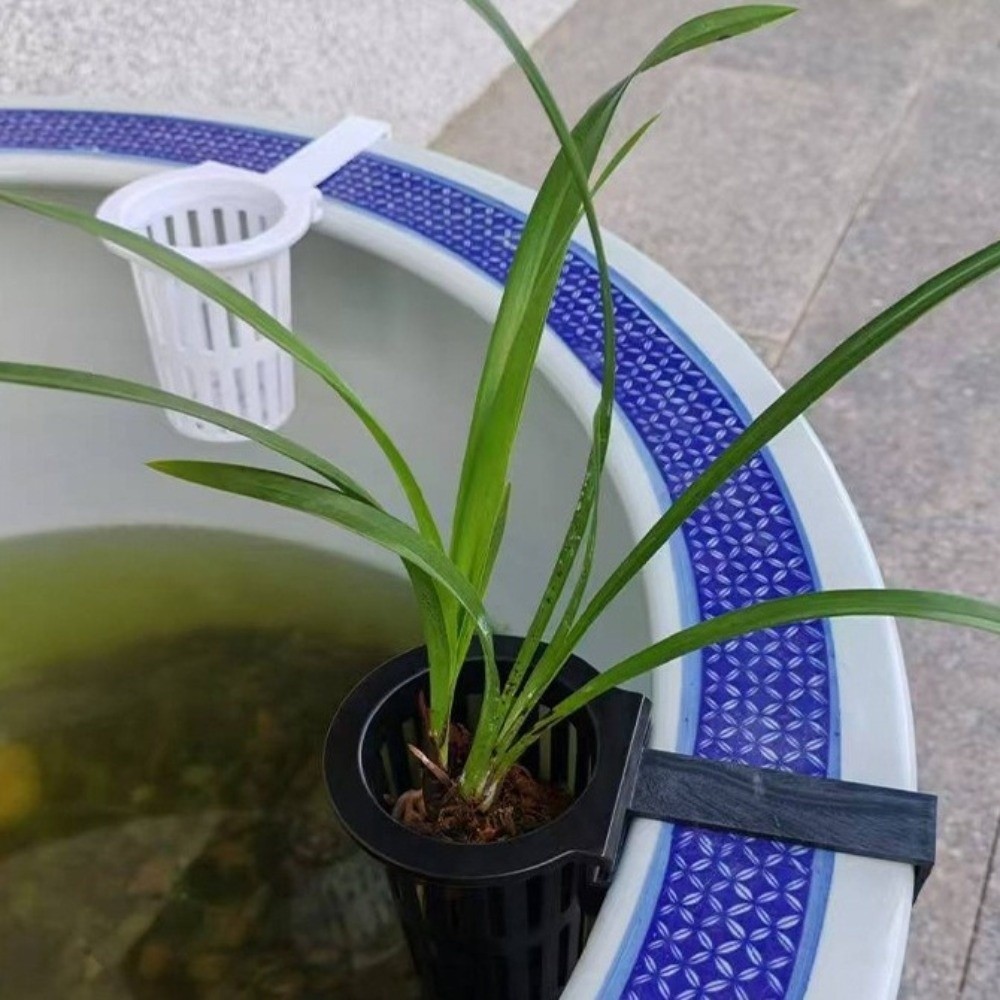 กระถางปลูกต้นไม้ติดผนังสำหรับป - Aquarium Planted Wall บทวิจารณ์และราคา
