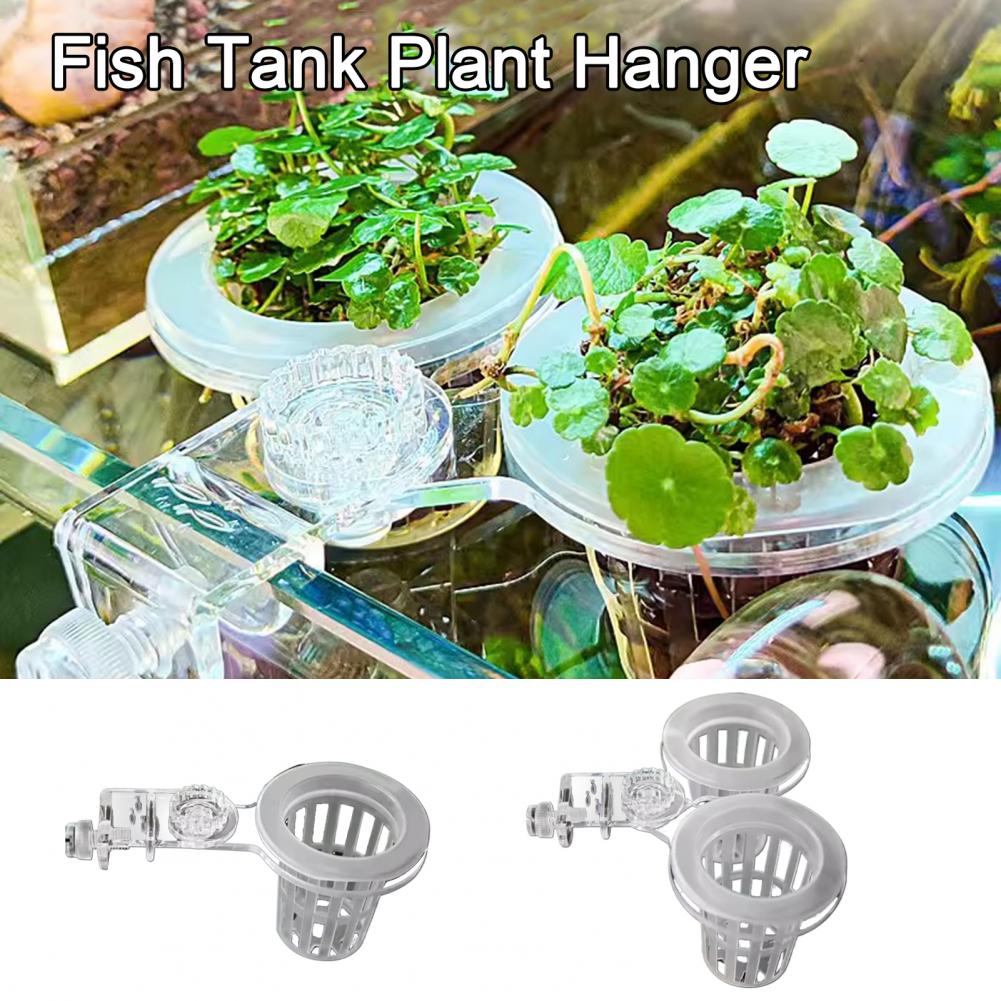 Aquarium HolderติดผนังHydropon - Aquarium Planted Wall บทวิจารณ์และราคา