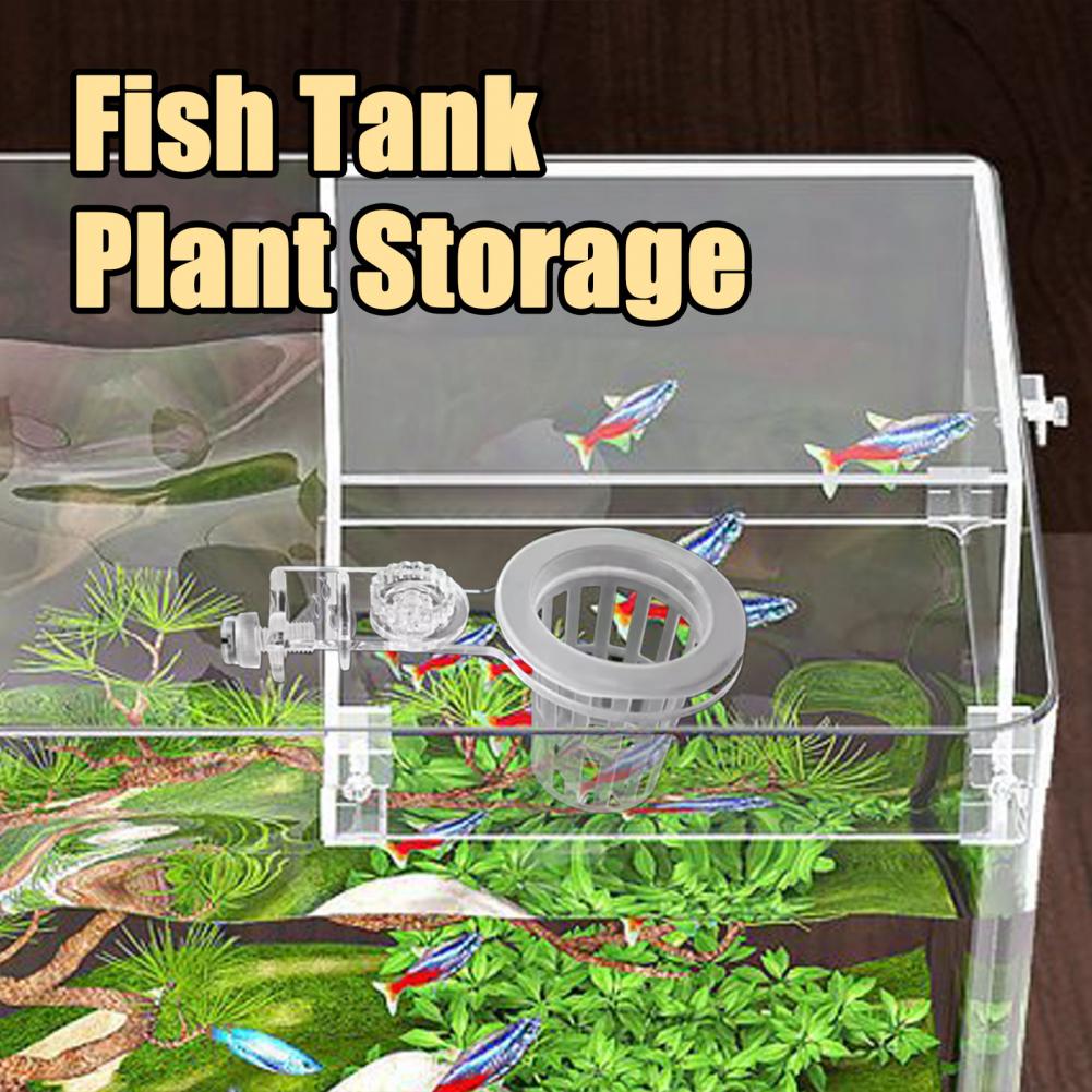 Aquarium HolderติดผนังHydropon - Aquarium Planted Wall บทวิจารณ์และราคา