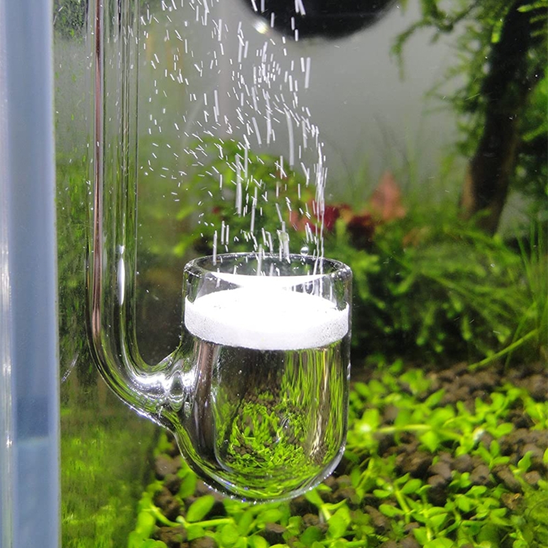 D0AD แก้ว CO2 Diffuser สำหรับพ - Aquarium Plant Design บทวิจารณ์และราคา