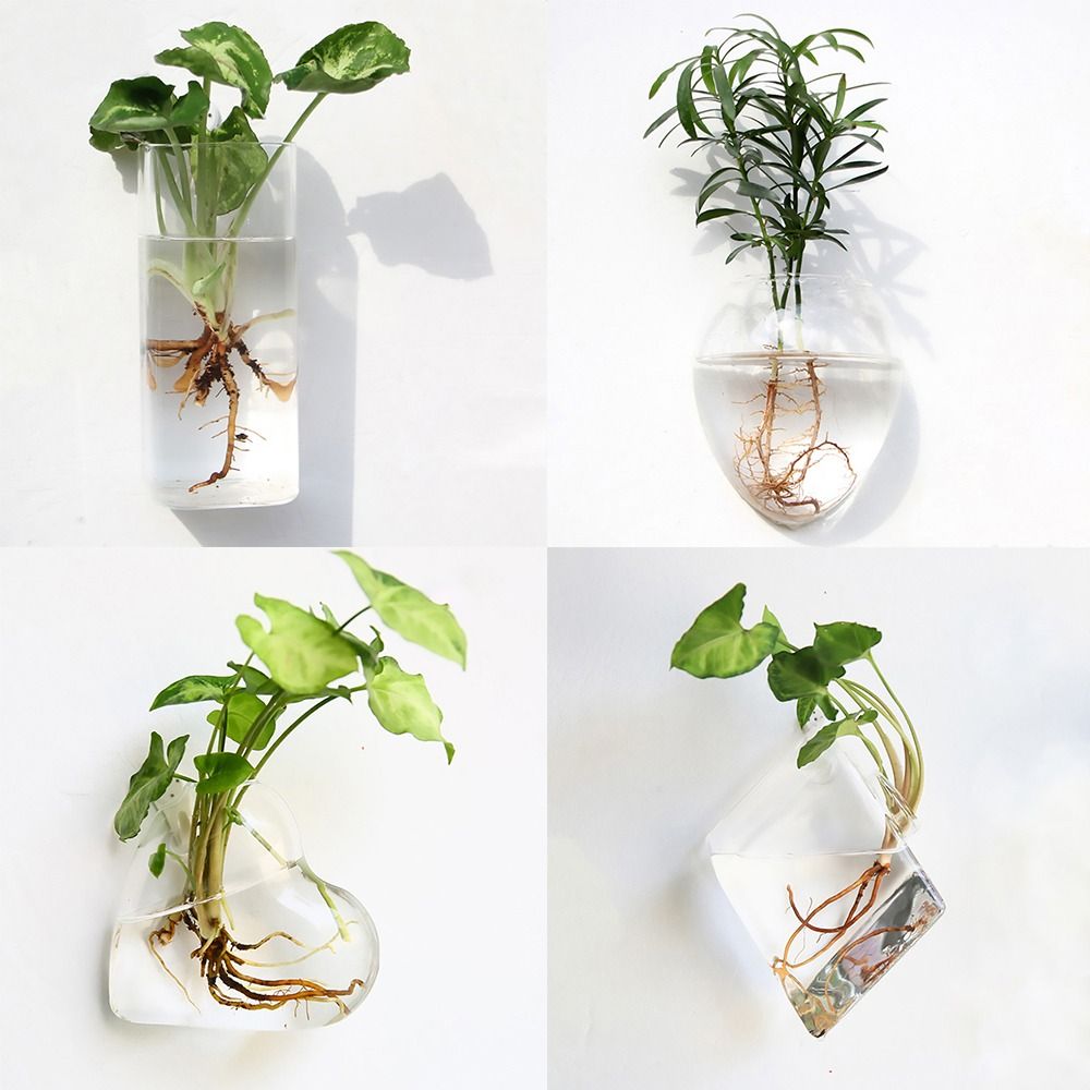 แจกันแขวนผนังทรงกรวย ตู้ปลาใส  - Aquarium Planted Wall บทวิจารณ์และราคา