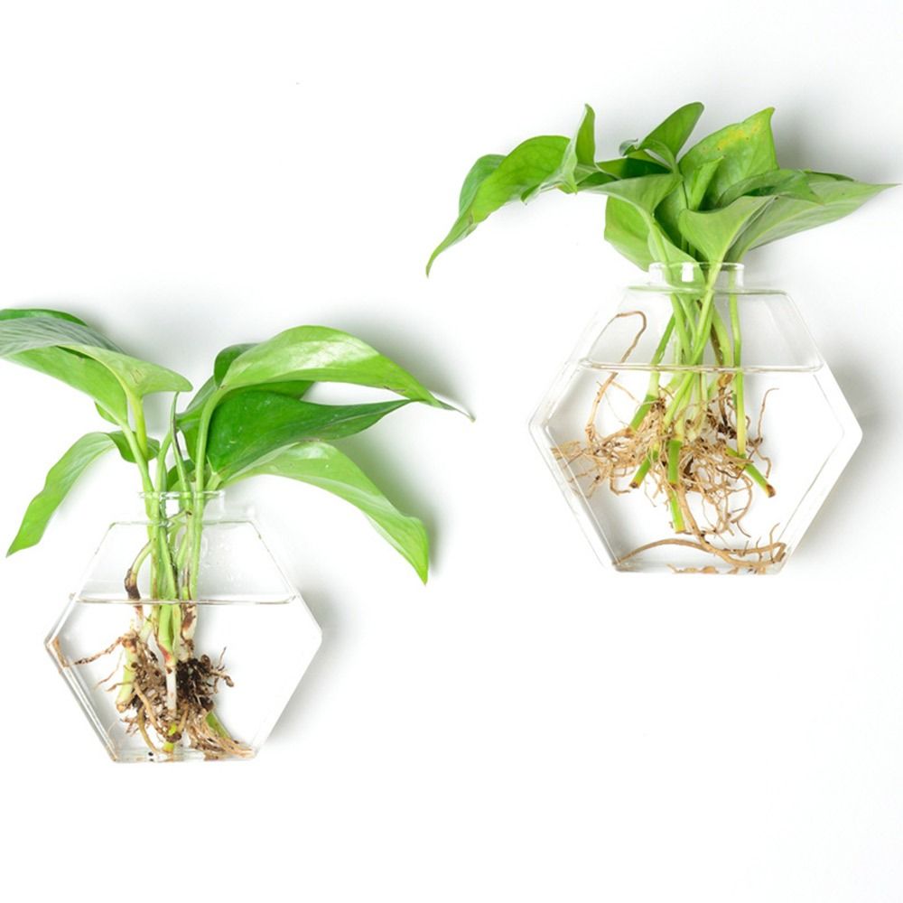 แจกันแขวนผนังทรงกรวย ตู้ปลาใส  - Aquarium Planted Wall บทวิจารณ์และราคา