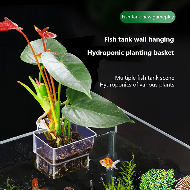 ใหม่【กระถางปลูกต้นไม้แบบแขวนติ - Aquarium Planted Wall บทวิจารณ์และราคา