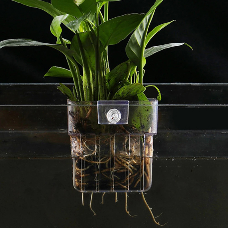 ใหม่【กระถางปลูกต้นไม้แบบแขวนติ - Aquarium Planted Wall บทวิจารณ์และราคา