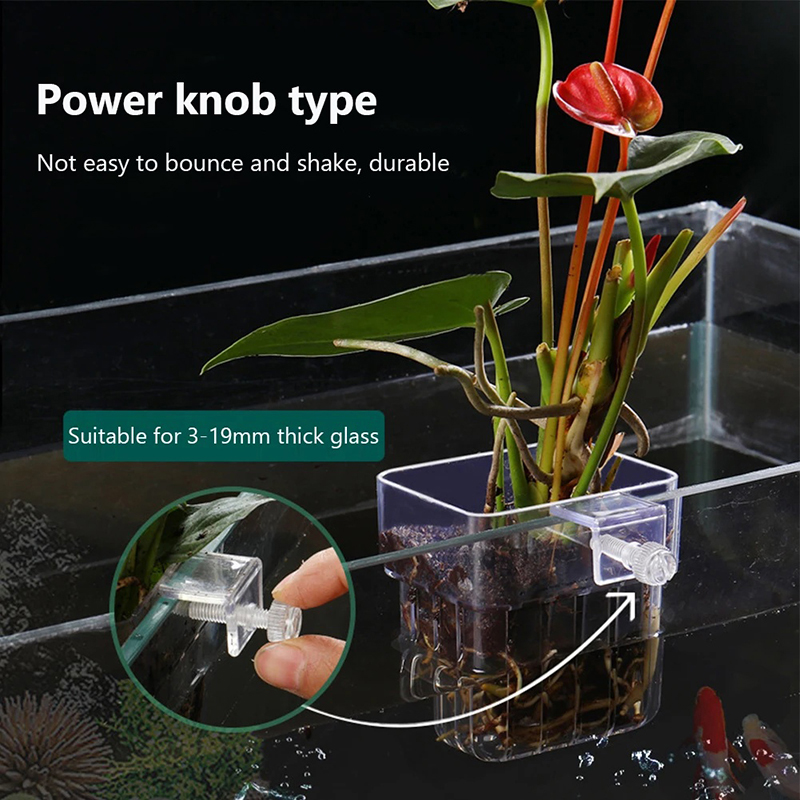 ใหม่【กระถางปลูกต้นไม้แบบแขวนติ - Aquarium Planted Wall บทวิจารณ์และราคา