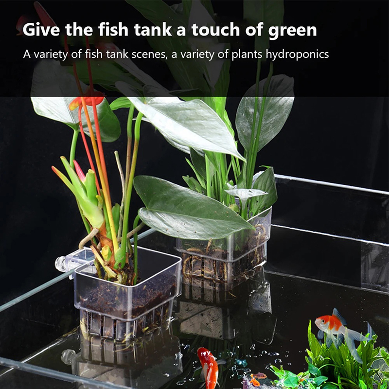 ใหม่【กระถางปลูกต้นไม้แบบแขวนติ - Aquarium Planted Wall บทวิจารณ์และราคา