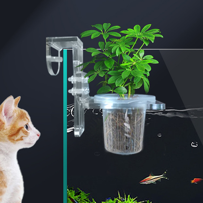 ถังปลาปลูกถ้วย Hydroponic สนับ - Aquarium Planted Wall บทวิจารณ์และราคา
