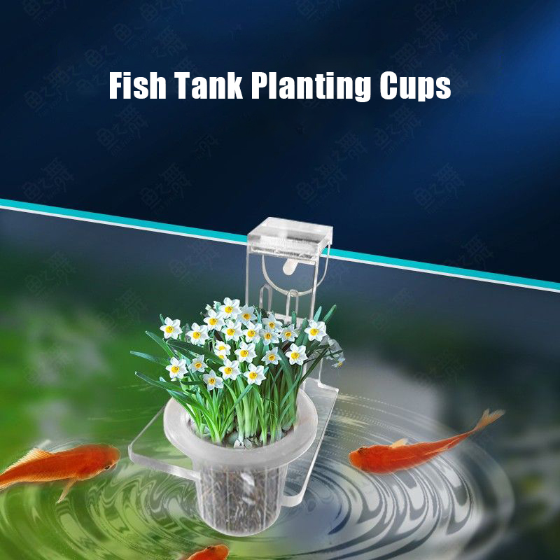 ถังปลาปลูกถ้วย Hydroponic สนับ - Aquarium Planted Wall บทวิจารณ์และราคา