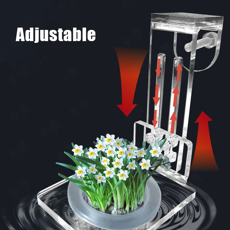 ถังปลาปลูกถ้วย Hydroponic สนับ - Aquarium Planted Wall บทวิจารณ์และราคา