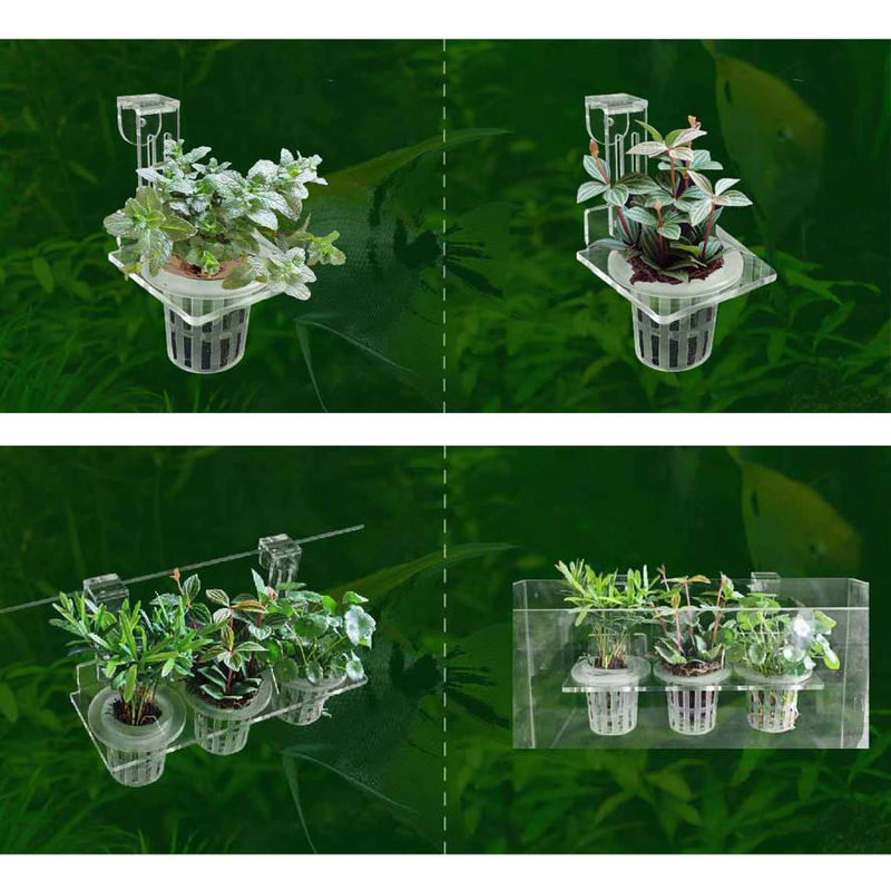 ถังปลาปลูกถ้วย Hydroponic สนับ - Aquarium Planted Wall บทวิจารณ์และราคา
