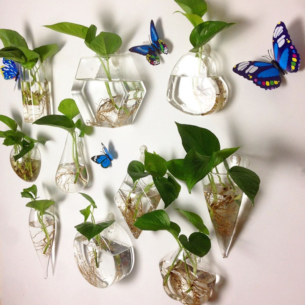 กรวยรูปร่างแขวนผนังแจกันพืช Hy - Aquarium Planted Wall บทวิจารณ์และราคา