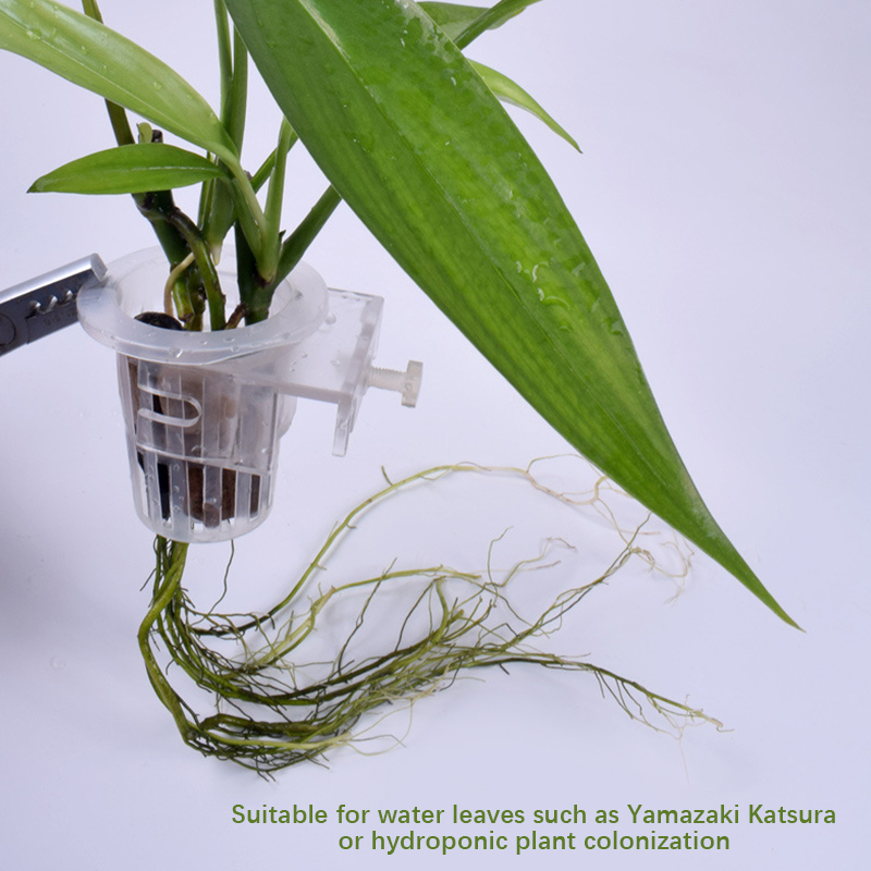 ถ้วยยึดผนังสำหรับตู้ปลาตู้ปลาแ - Aquarium Planted Wall บทวิจารณ์และราคา