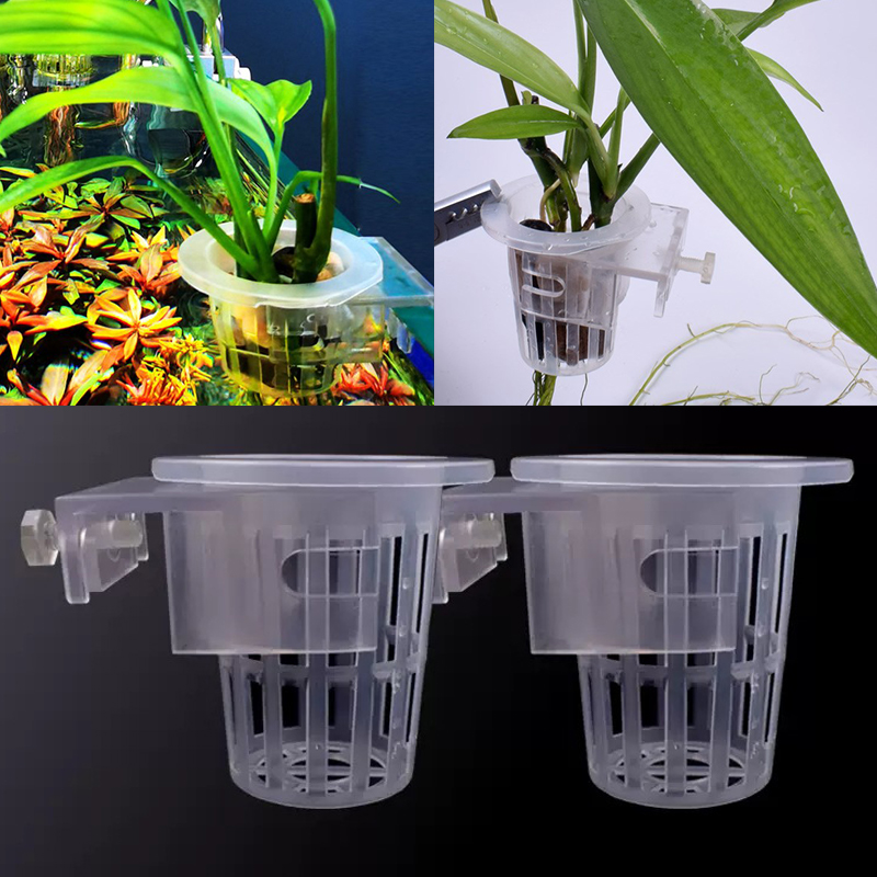 ถ้วยยึดผนังสำหรับตู้ปลาตู้ปลาแ - Aquarium Planted Wall บทวิจารณ์และราคา