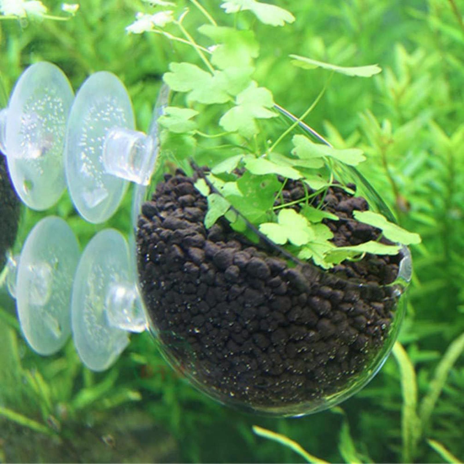 ที่วางต้นไม้ในตู้ปลา กระถางแก้ - Aquarium Plant Live บทวิจารณ์และราคา