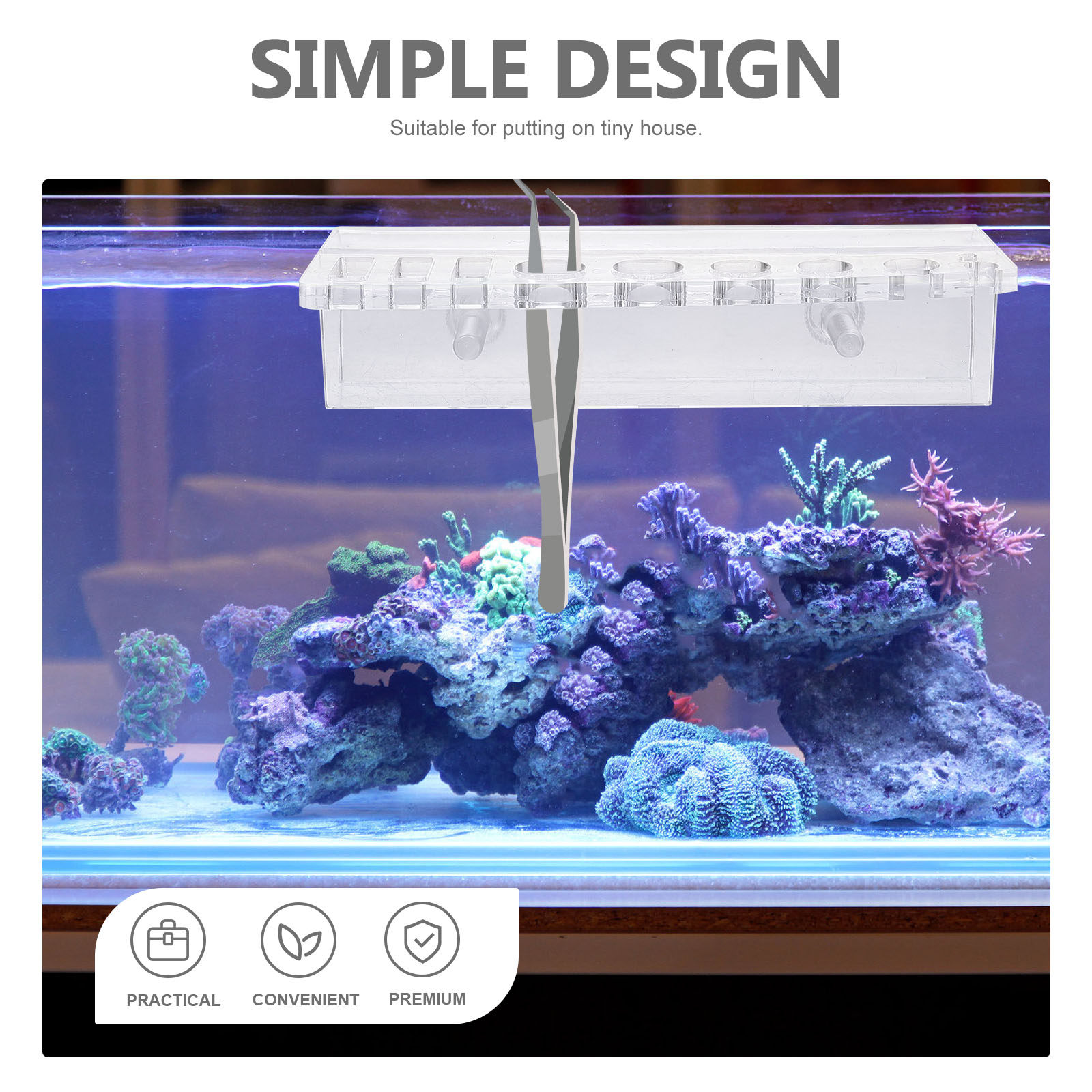 ที่วางอุปกรณ์ตู้ปลา อะคริลิค ช - Aquarium Planted Wall บทวิจารณ์และราคา