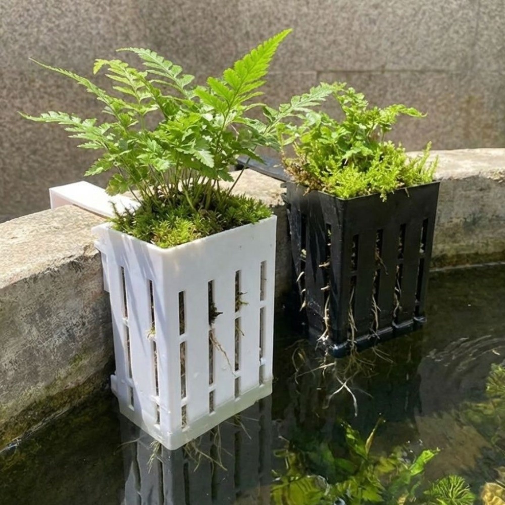 กระถางปลูกต้นไม้แบบแขวนผนังสำห - Aquarium Planted Wall บทวิจารณ์และราคา