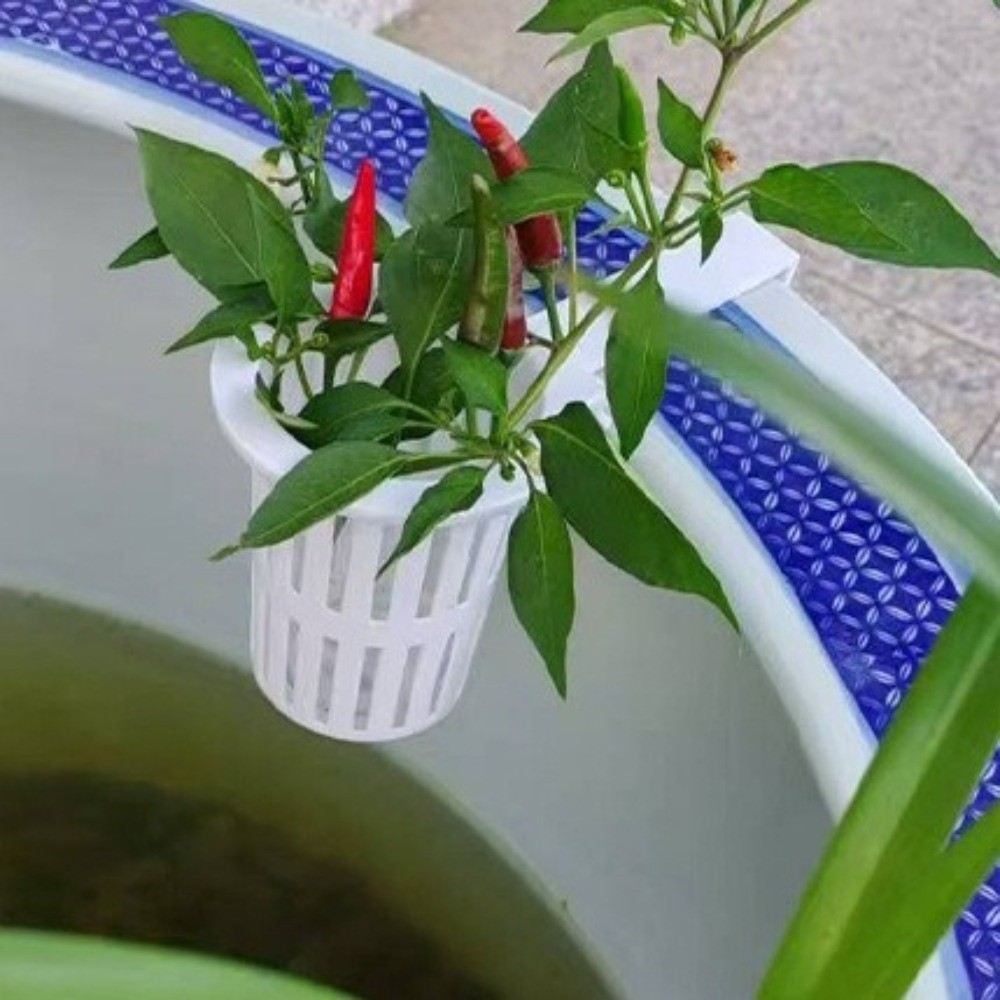 กระถางปลูกต้นไม้แบบแขวนผนังสำห - Aquarium Planted Wall บทวิจารณ์และราคา