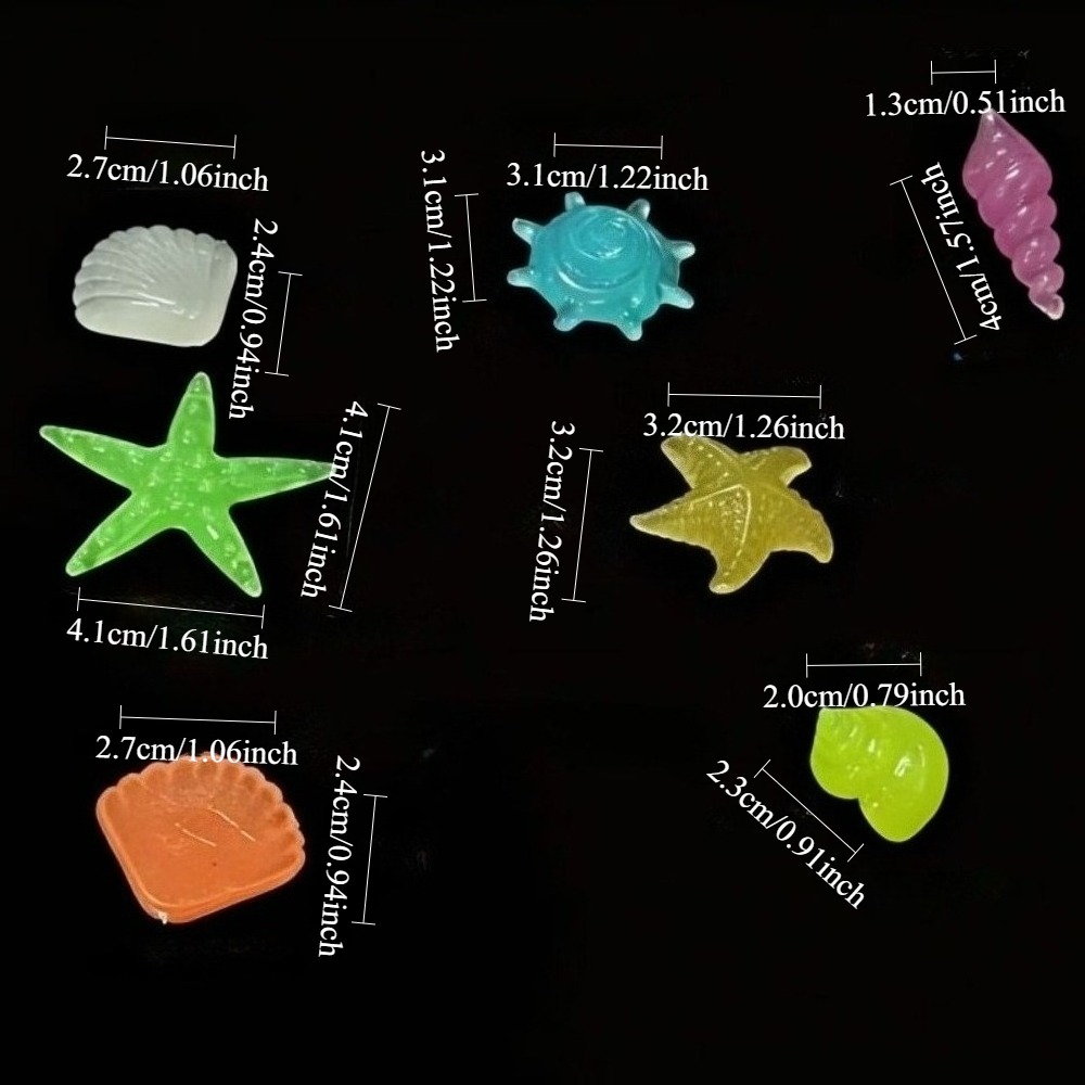 หินเรืองแสงในทะเล เปลือกหอยเรื - Aquarium Plant Design บทวิจารณ์และราคา