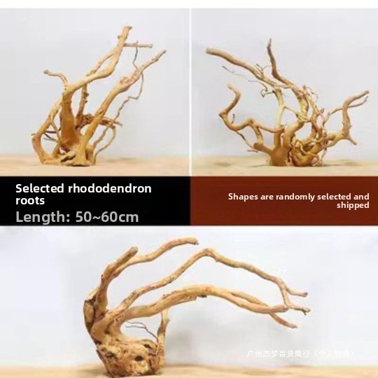 กิ่งไม้ลอยน้ำธรรมชาติสำหรับตกแ - Aquarium Planted Fish บทวิจารณ์และราคา