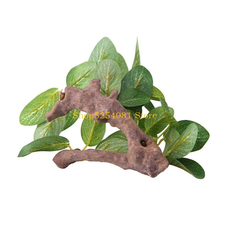 AXYC พิพิธภัณฑ์สัตว์น้ำ ภูมิทั - Non Planted Aquarium Fish บทวิจารณ์และราคา