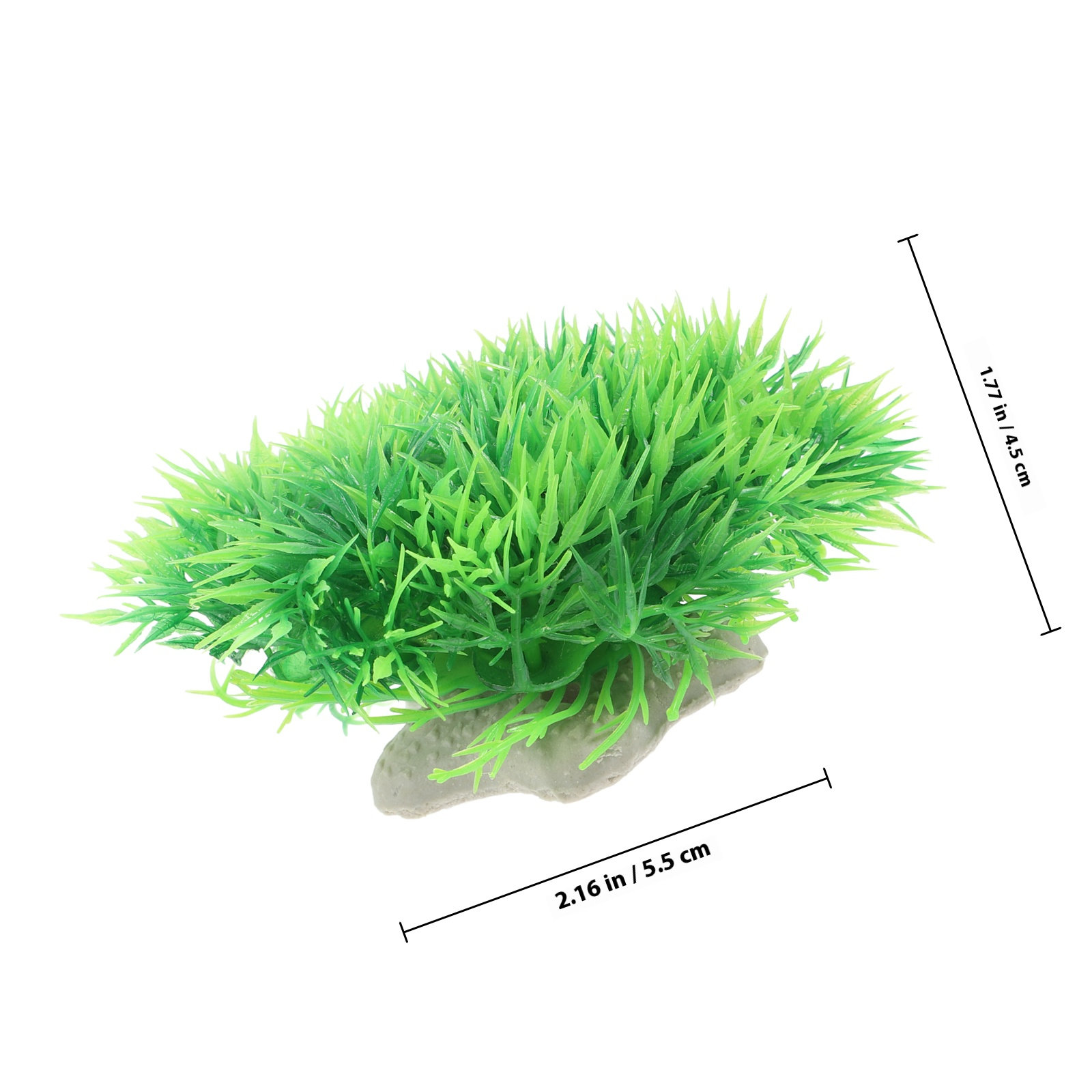 6 ชิ้น ต้นไม้ประดับตู้ปลาเหมือ - Aquarium Planted Setup บทวิจารณ์และราคา
