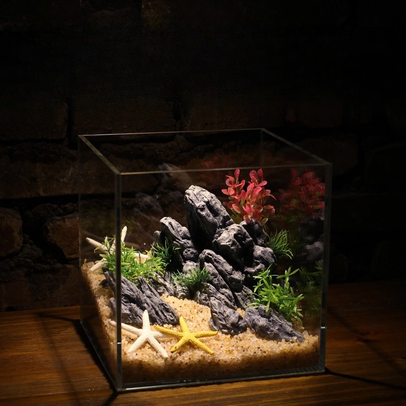 ของตกแต่งตู้ปลา หินจำลอง ภูเขา - Aquarium Planted Setup บทวิจารณ์และราคา