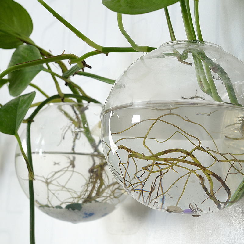 ตู้ปลาอะคริลิคแขวนผนัง แจกันอะ - Aquarium Planted Wall บทวิจารณ์และราคา