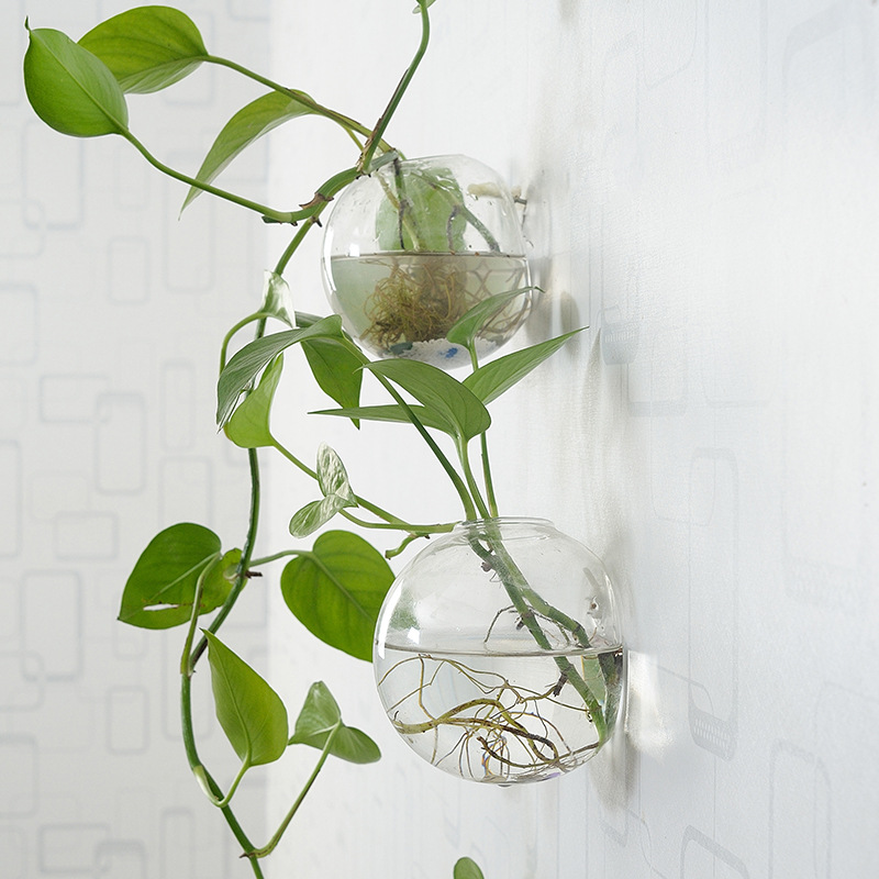 ตู้ปลาอะคริลิคแขวนผนัง แจกันอะ - Aquarium Planted Wall บทวิจารณ์และราคา
