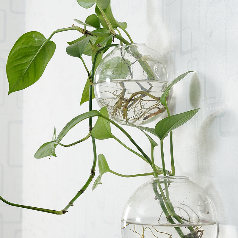 ตู้ปลาอะคริลิคแขวนผนัง แจกันอะ - Aquarium Planted Wall บทวิจารณ์และราคา