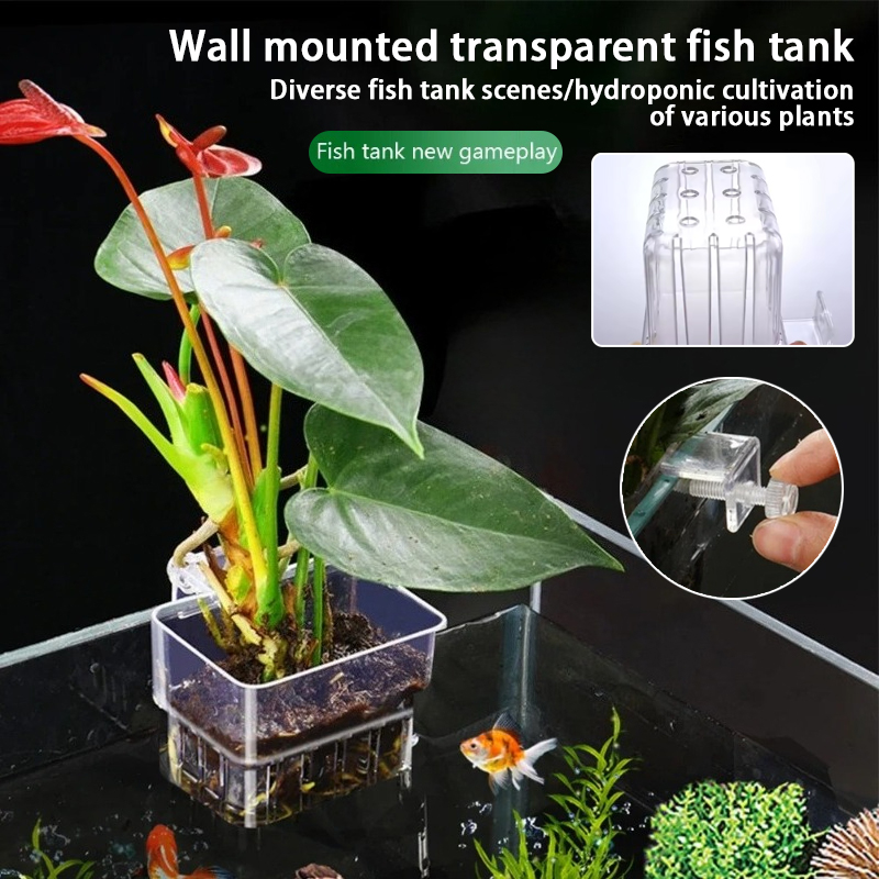 กระถางแขวนติดผนังสำหรับปลูกพืช - Aquarium Planted Wall บทวิจารณ์และราคา