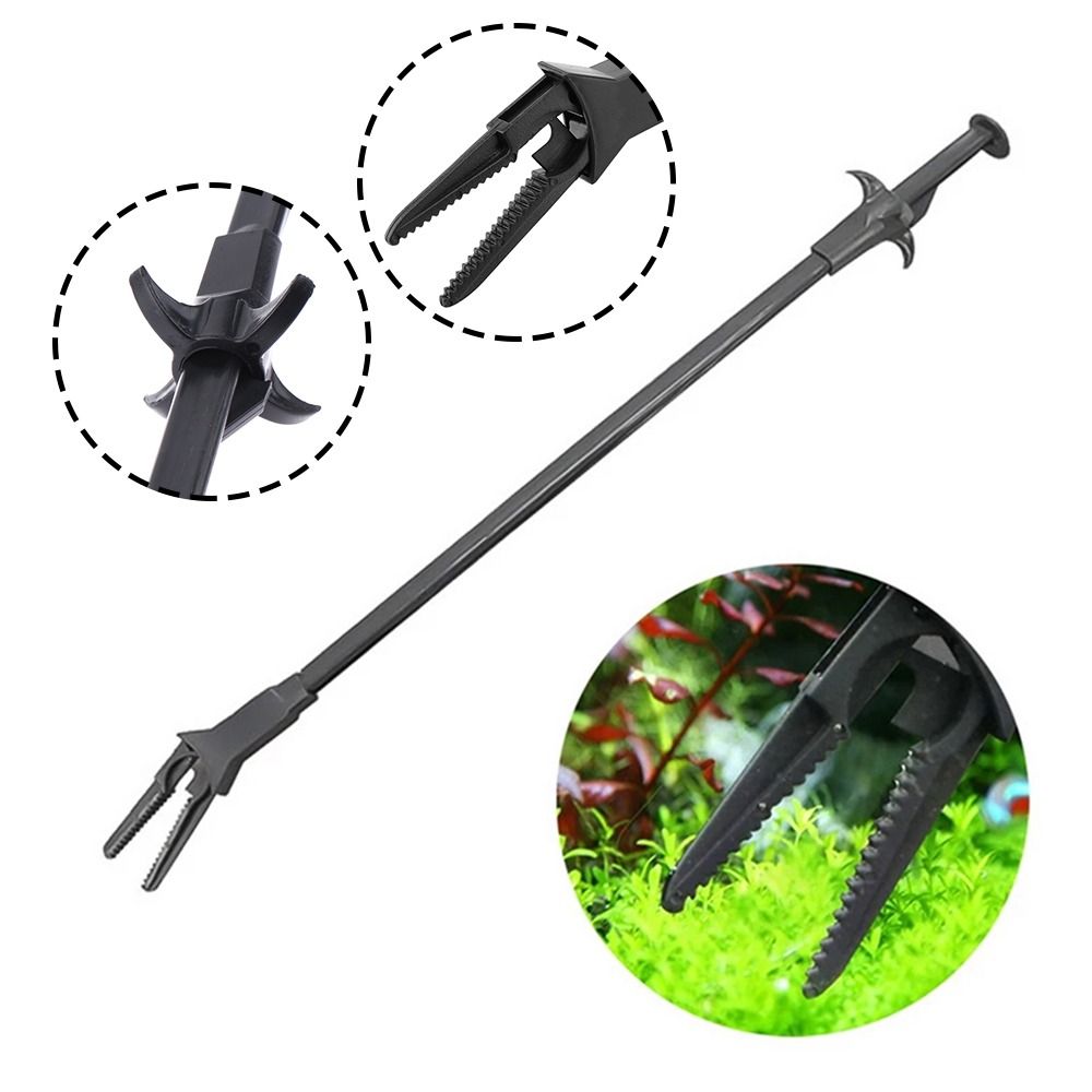แหนบพลาสติกสำหรับตู้ปลา ขนาด 5 - Non Planted Aquarium Fish บทวิจารณ์และราคา